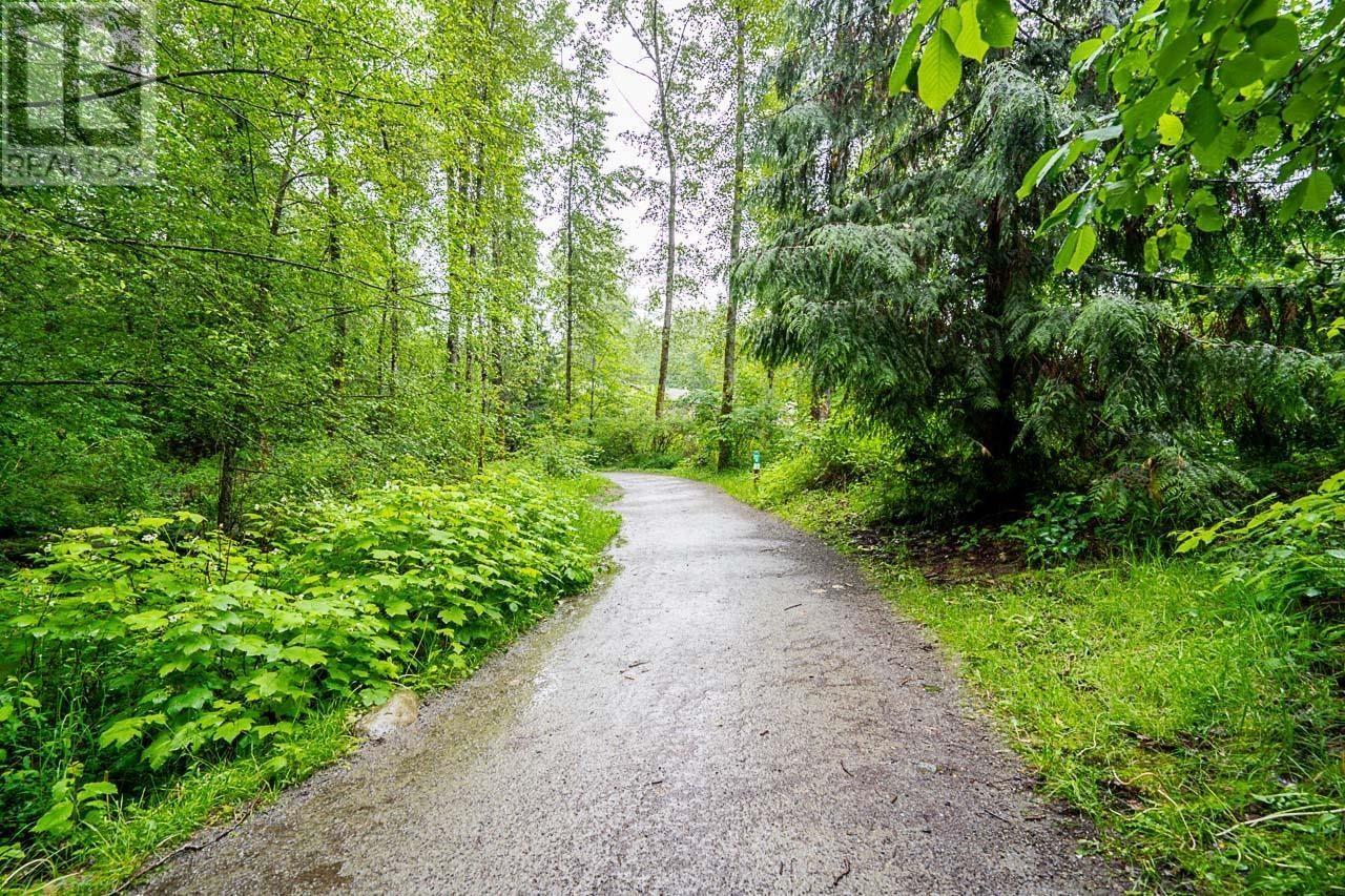 102d 3655 Shaughnessy Street, Port Coquitlam, British Columbia  V6B 6C8 - Photo 33 - R2990085