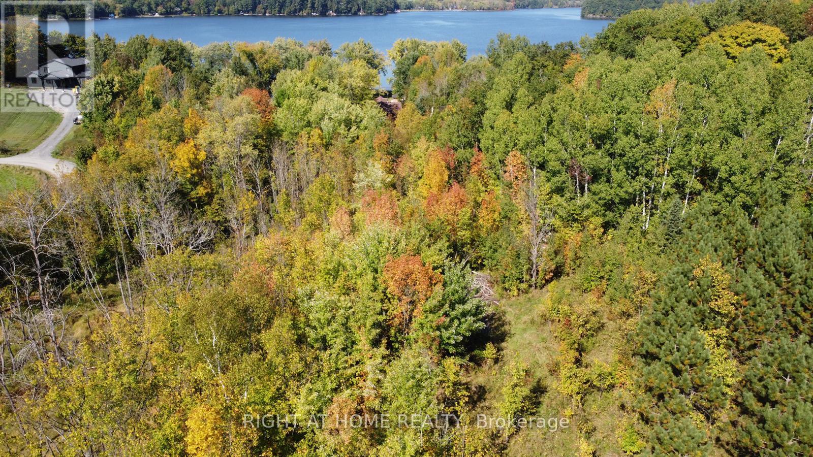 10 - 1326 Windermere Road, Muskoka Lakes, Ontario  P0B 1M0 - Photo 37 - X12082172