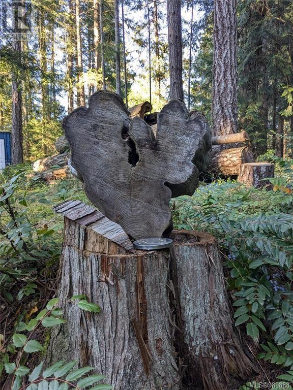 Lt 25 Jeanette Ave, Gabriola Island, British Columbia  V0R 1X3 - Photo 9 - 989888