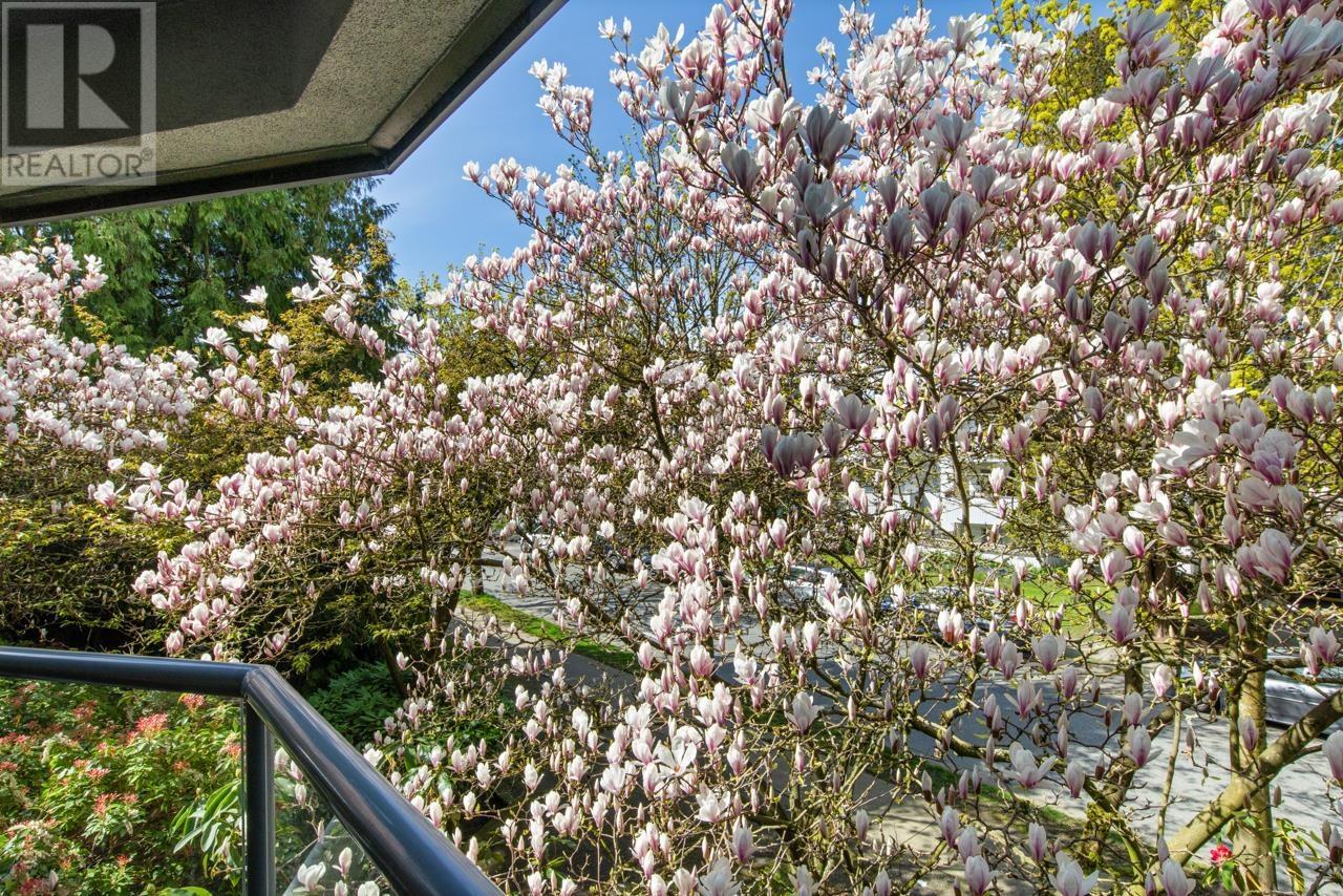 204 2250 W 3rd Avenue, Vancouver, British Columbia  V6K 1L4 - Photo 17 - R2990170