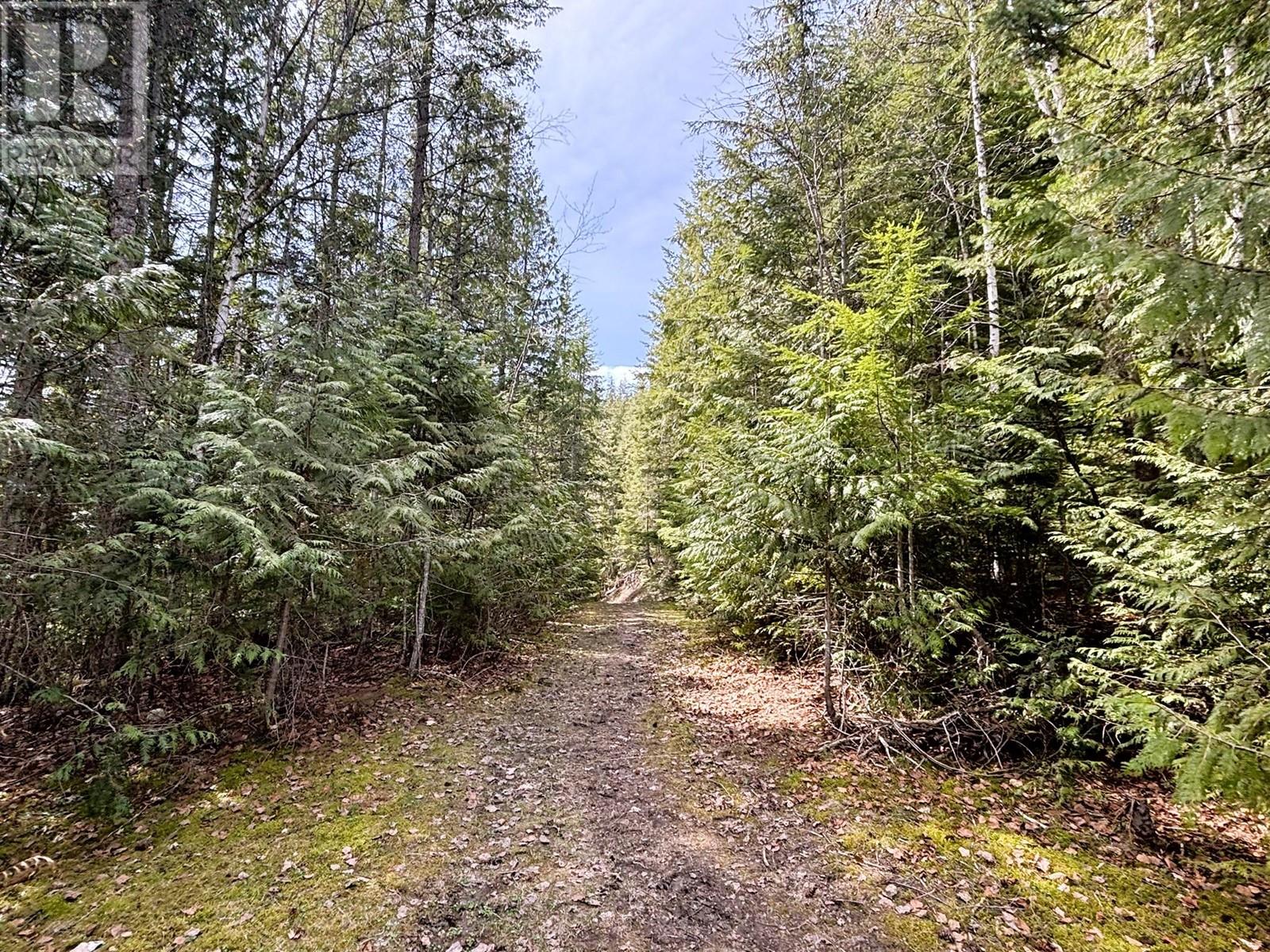 1425 Bobbie Burns Road, Lumby, British Columbia  V0E 2C4 - Photo 55 - 10343445