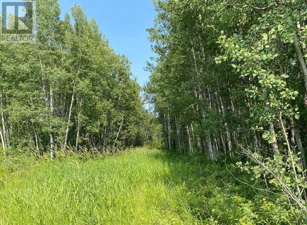 Se-4-59-6-W5 590 Township, Rural Lac Ste. Anne County, Alberta  T0E 2A0 - Photo 7 - A2196473