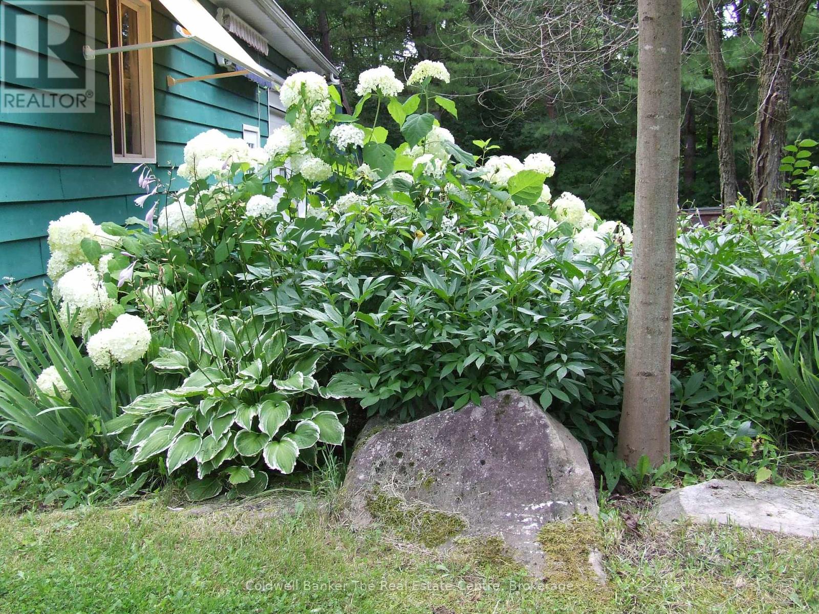 1670 Windermere Road, Muskoka Lakes, Ontario  P0B 1M0 - Photo 40 - X12082604