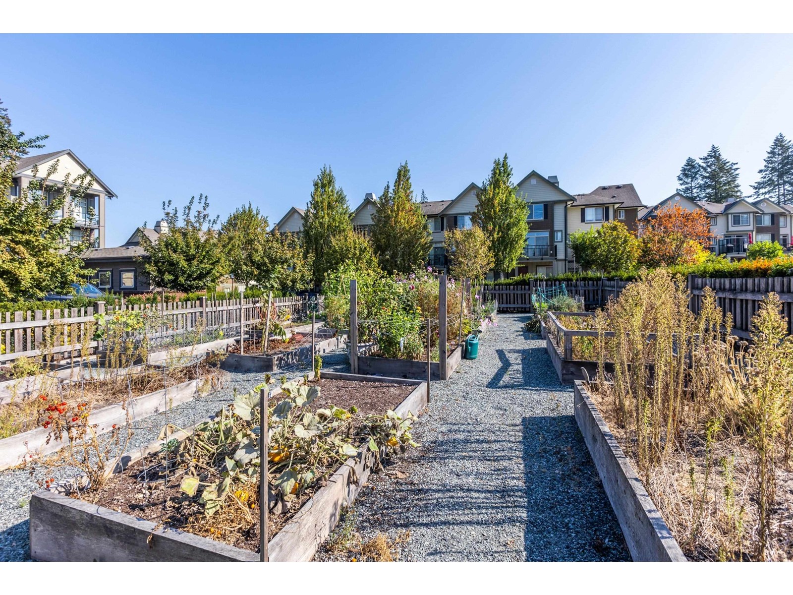 411 2855 156 Street, Surrey, British Columbia  V3Z 3Y3 - Photo 29 - R2988739