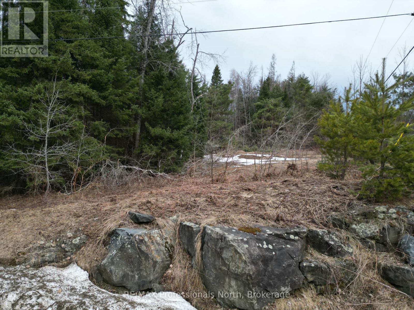 3025 Gelert Road, Minden Hills, Ontario  K0M 2K0 - Photo 11 - X12081854