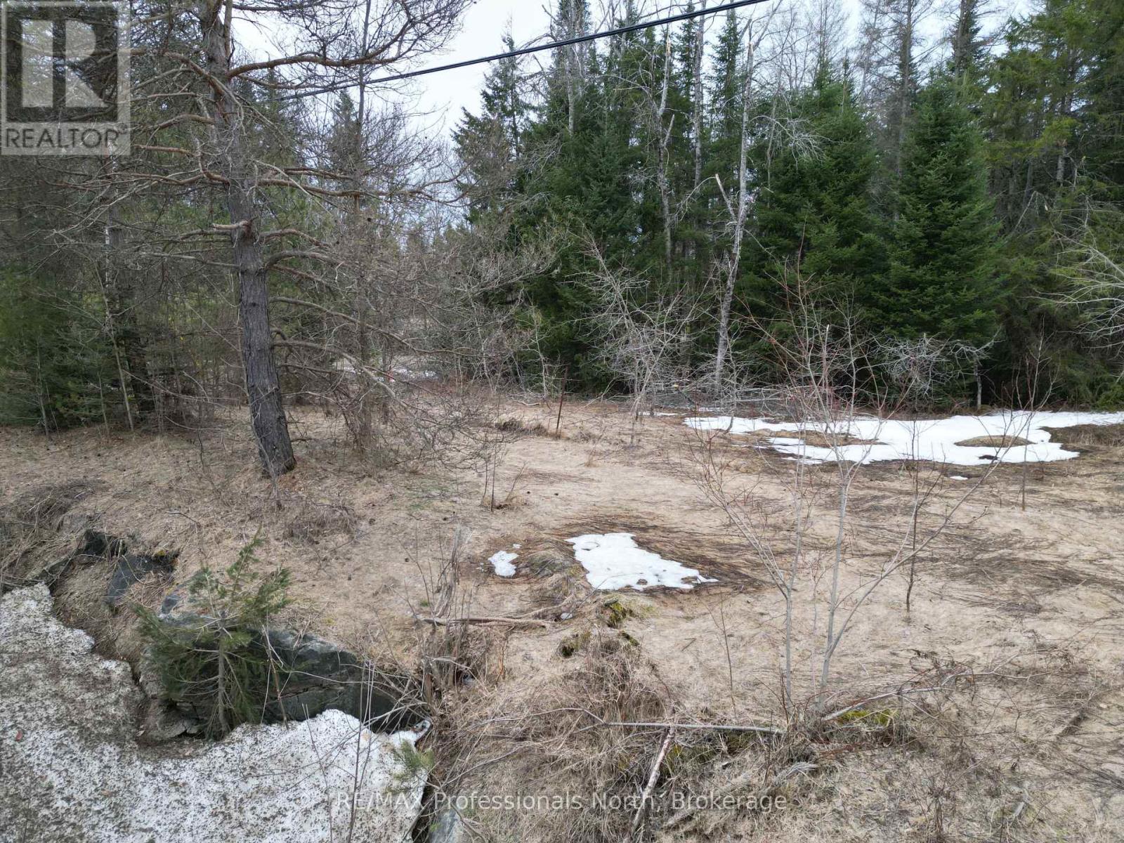3025 Gelert Road, Minden Hills, Ontario  K0M 2K0 - Photo 4 - X12081854