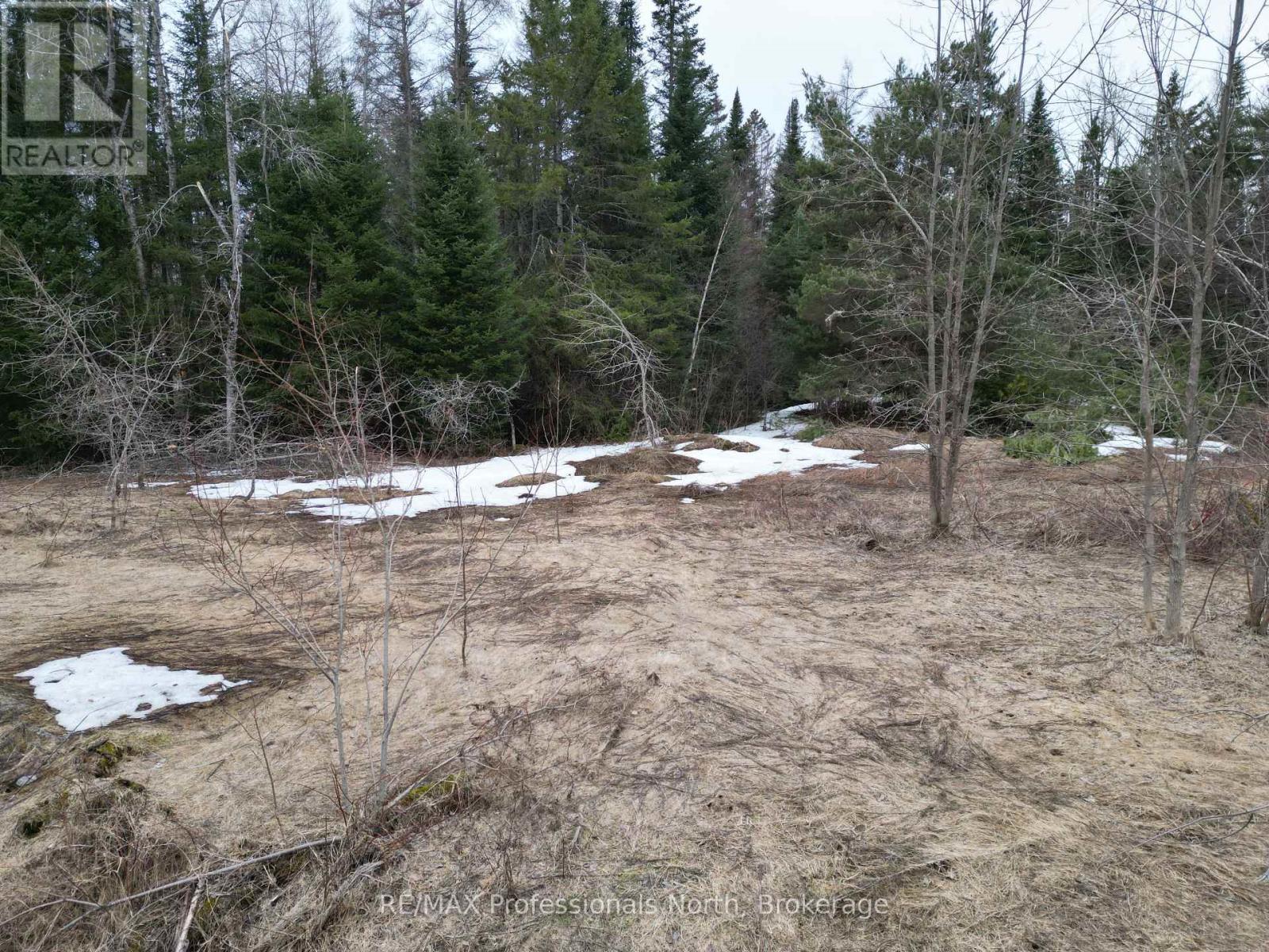 3025 Gelert Road, Minden Hills, Ontario  K0M 2K0 - Photo 5 - X12081854