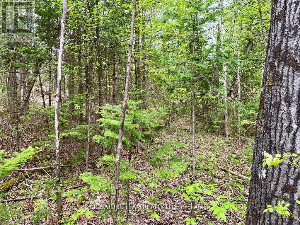 122 Western Drive, Bonnechere Valley, Ontario  K0J 1T0 - Photo 10 - X12082928