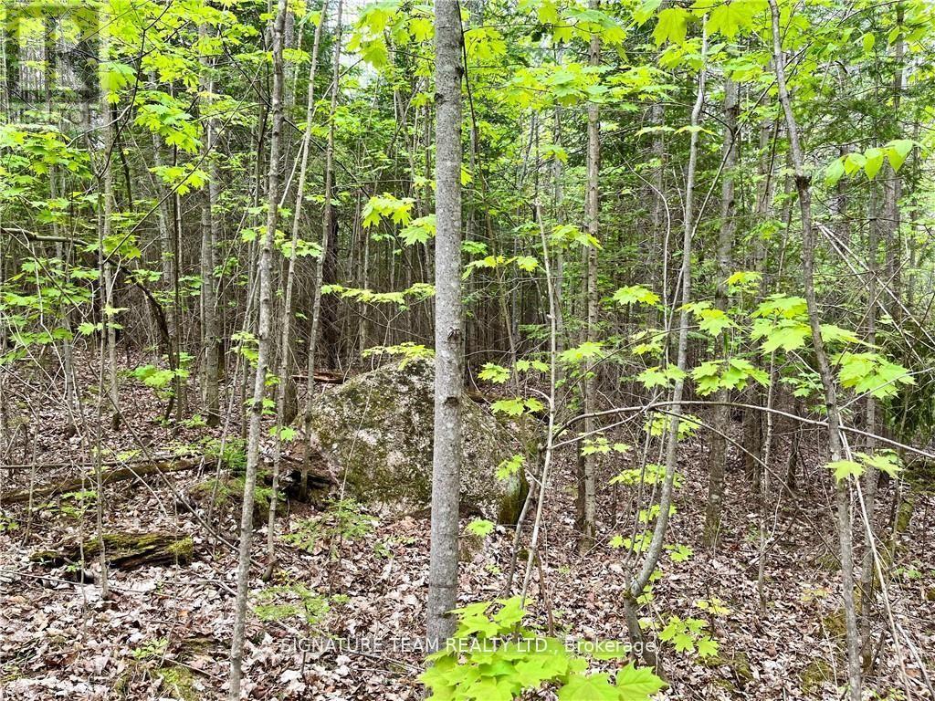 122 Western Drive, Bonnechere Valley, Ontario  K0J 1T0 - Photo 6 - X12082928