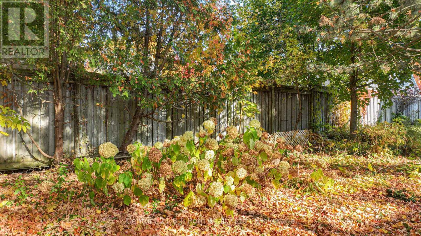 24 Champlain Street, Orillia, Ontario  L3V 2G7 - Photo 4 - S12043869