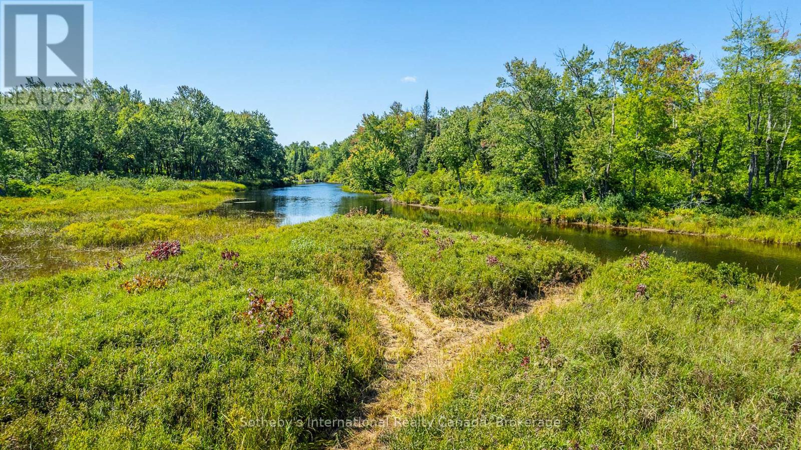 166 Colbourne Road, Burk's Falls, Ontario  P0A 1C0 - Photo 30 - X11953128