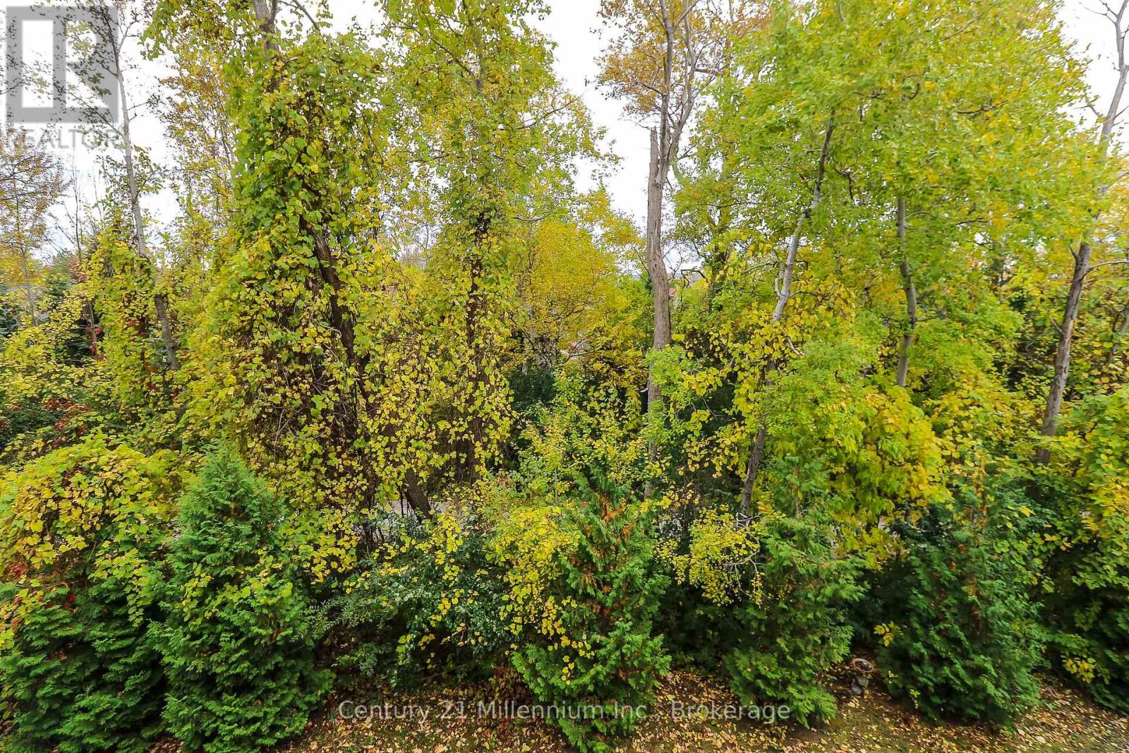 304 - 2 Brandy Lane Drive, Collingwood, Ontario  L9Y 0X4 - Photo 32 - S12083225
