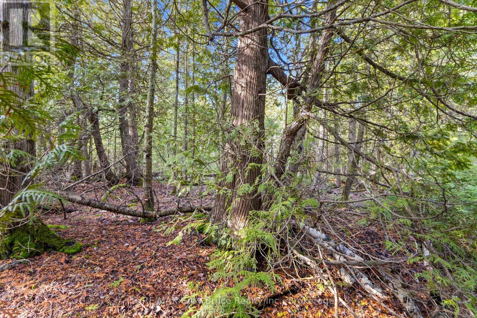 Lot 19 Big Tub Road, Northern Bruce Peninsula, Ontario  N0H 2R0 - Photo 12 - X12083241