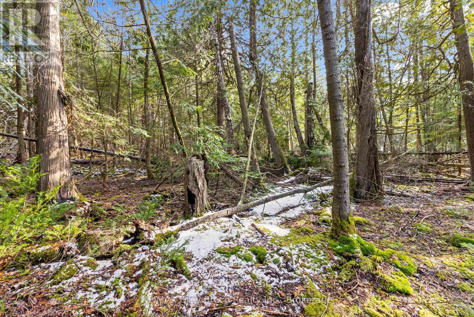 Lot 19 Big Tub Road, Northern Bruce Peninsula, Ontario  N0H 2R0 - Photo 13 - X12083241