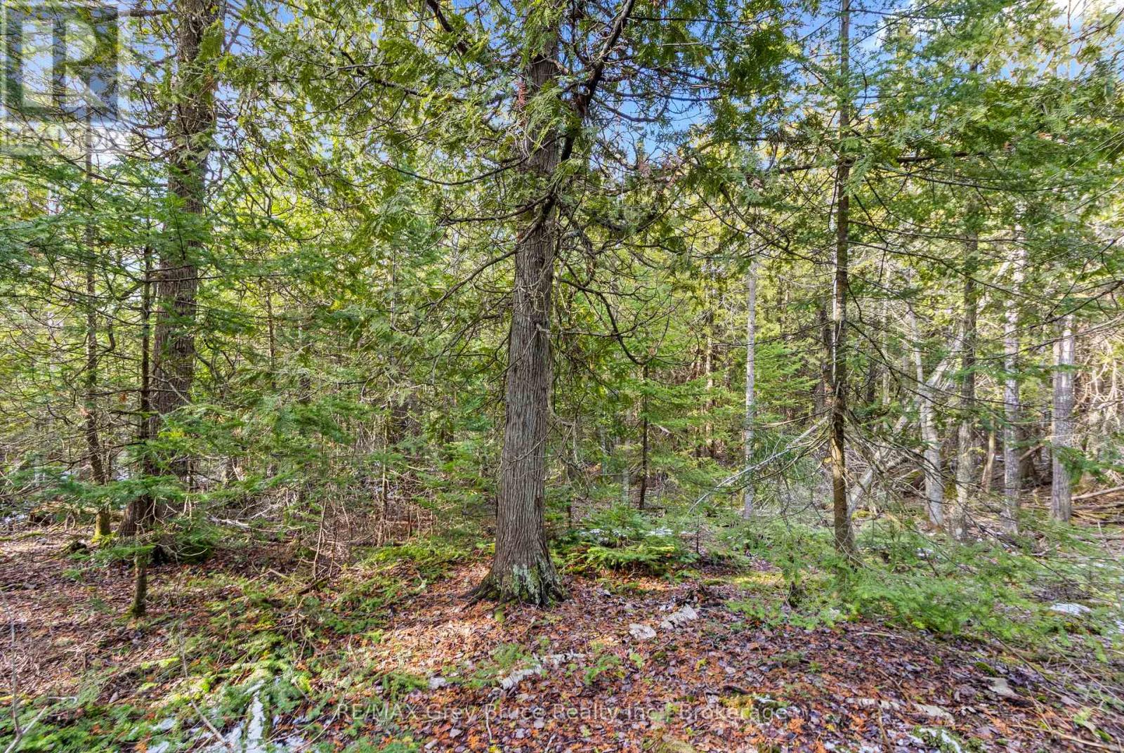 Lot 19 Big Tub Road, Northern Bruce Peninsula, Ontario  N0H 2R0 - Photo 14 - X12083241