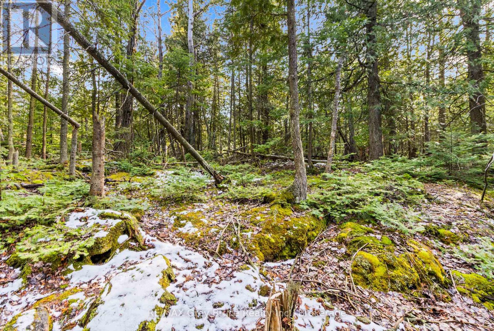 Lot 19 Big Tub Road, Northern Bruce Peninsula, Ontario  N0H 2R0 - Photo 15 - X12083241