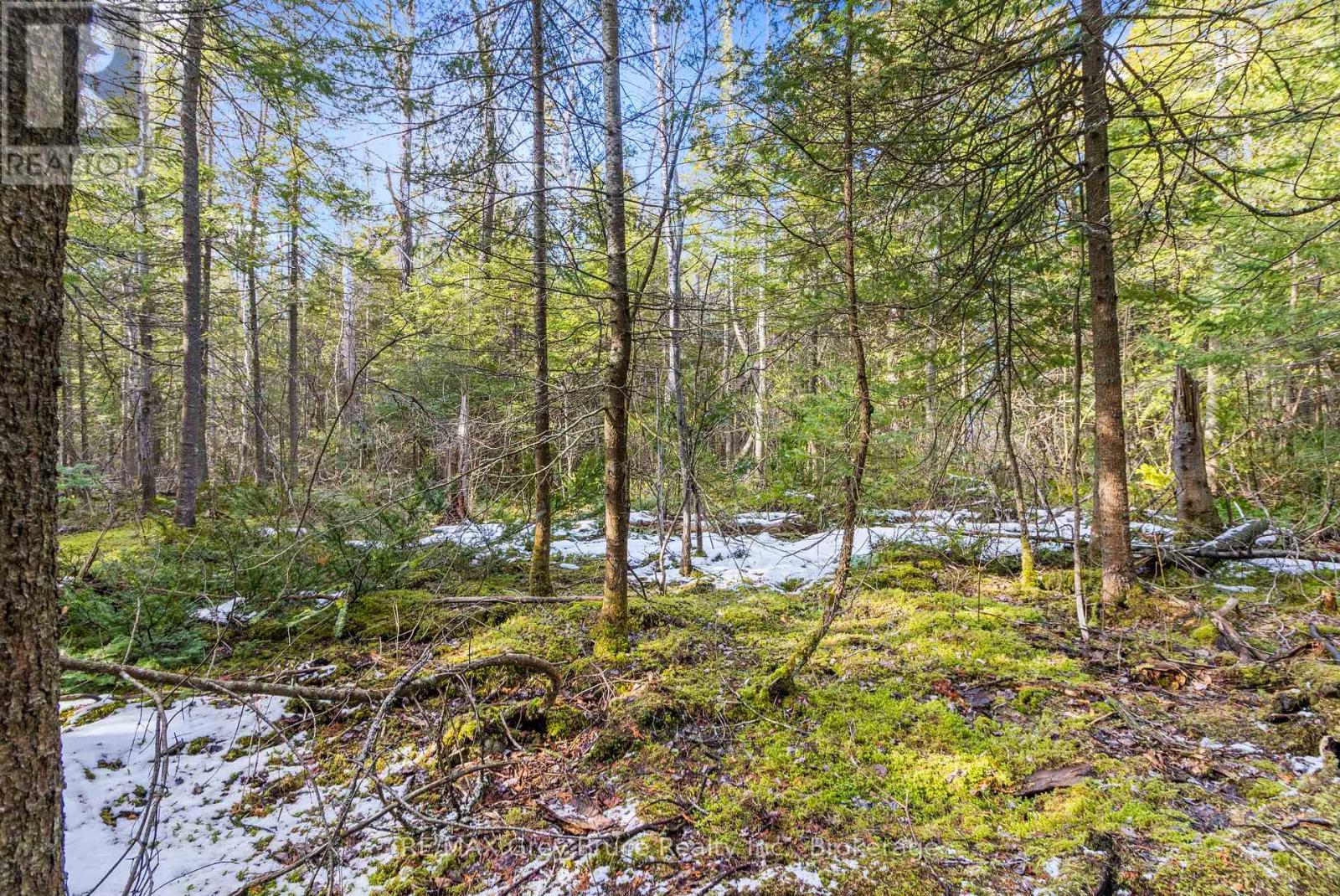 Lot 19 Big Tub Road, Northern Bruce Peninsula, Ontario  N0H 2R0 - Photo 17 - X12083241