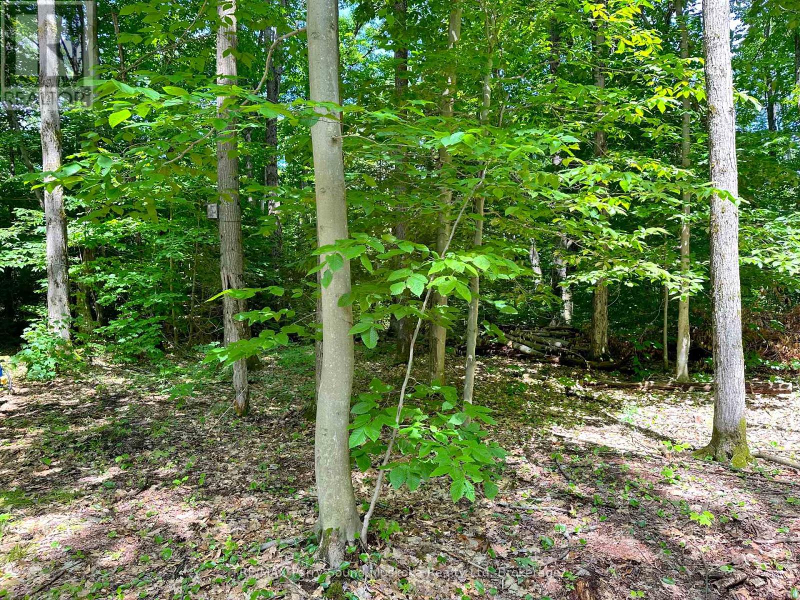 63 Sandy Plains Road, Seguin, Ontario  P2A 2W8 - Photo 8 - X12083367