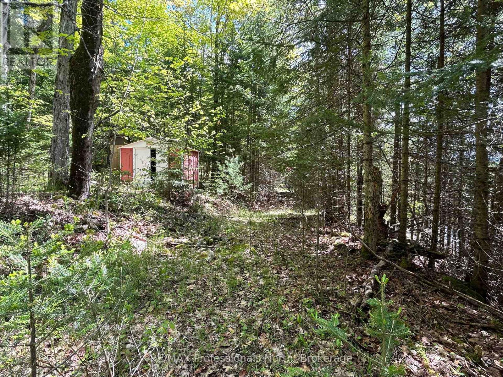 1202 Poverty Bay Trail, Minden Hills, Ontario  K0M 2K0 - Photo 10 - X12083783