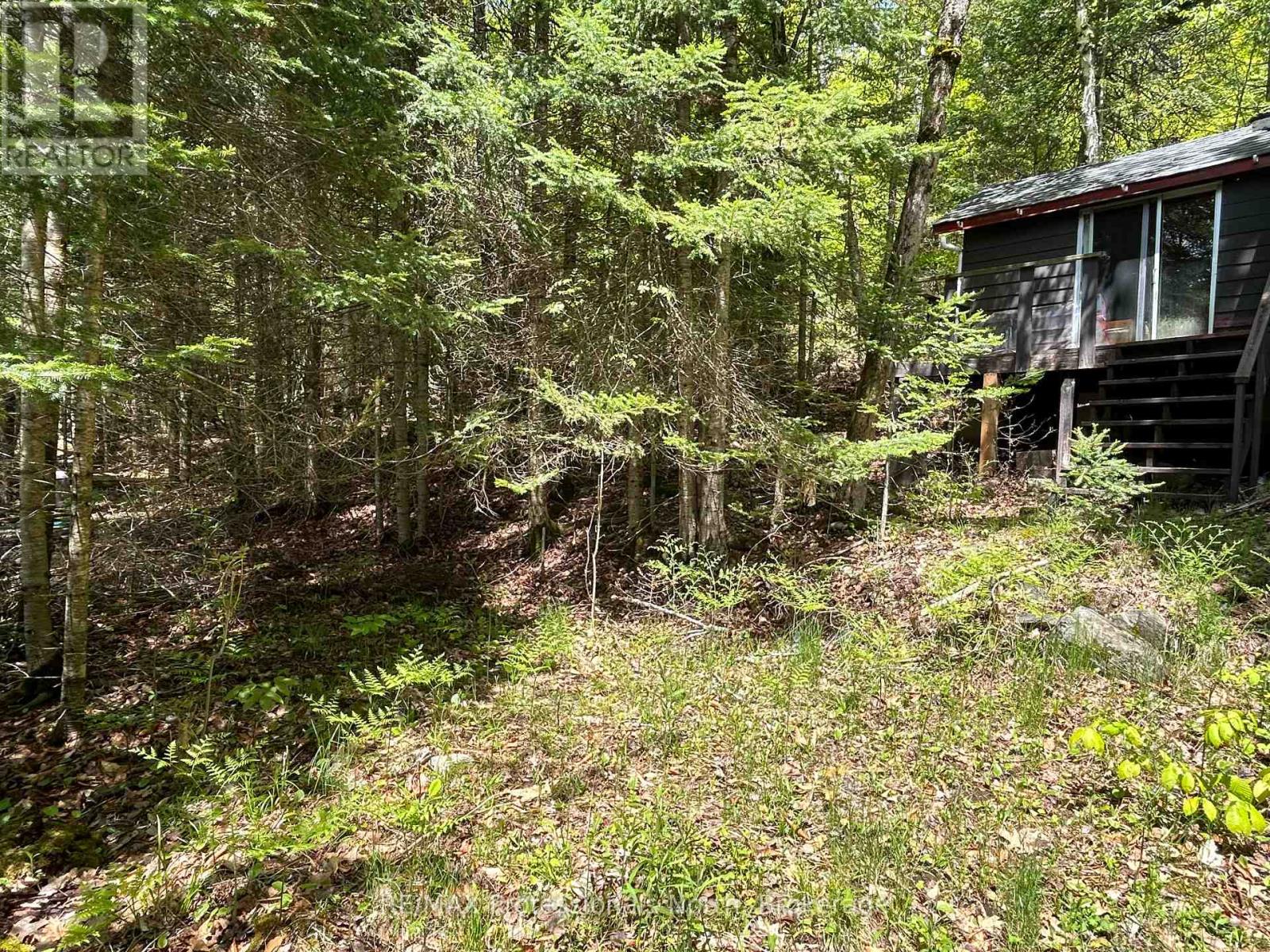 1202 Poverty Bay Trail, Minden Hills, Ontario  K0M 2K0 - Photo 11 - X12083783