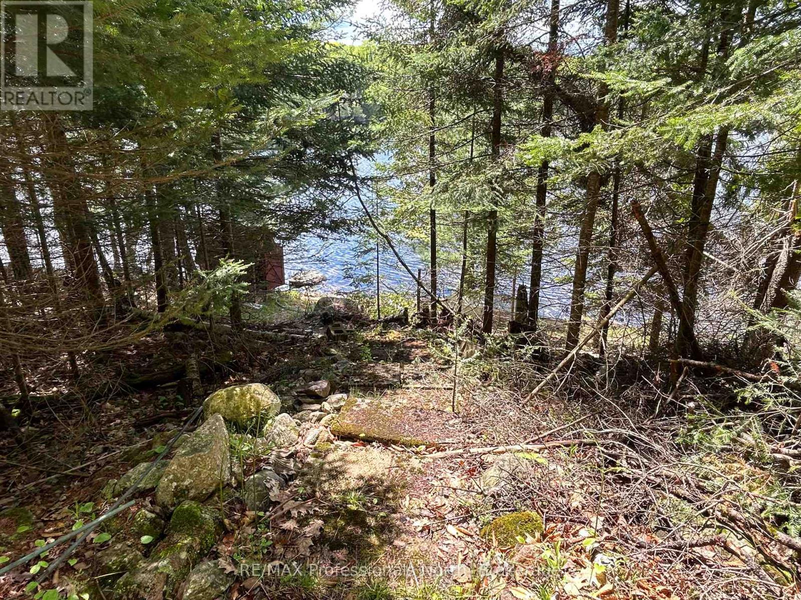 1202 Poverty Bay Trail, Minden Hills, Ontario  K0M 2K0 - Photo 2 - X12083783