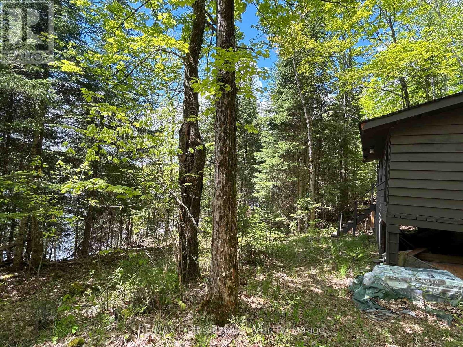 1202 Poverty Bay Trail, Minden Hills, Ontario  K0M 2K0 - Photo 6 - X12083783
