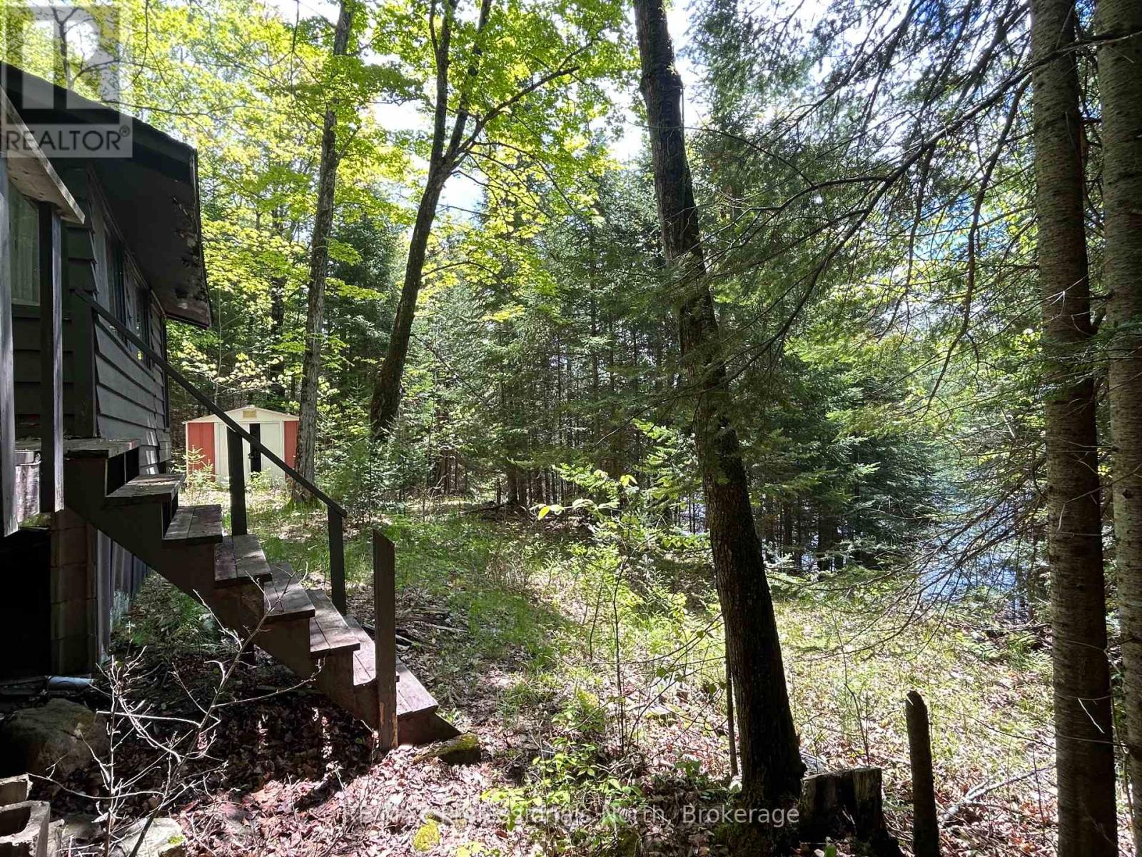 1202 Poverty Bay Trail, Minden Hills, Ontario  K0M 2K0 - Photo 8 - X12083783