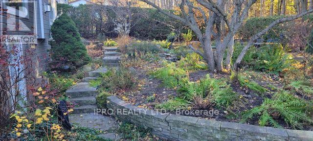Property at 25 ORSI ROAD image 4