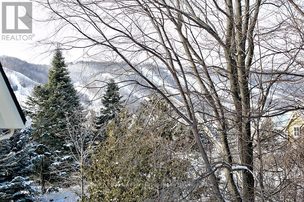 217 - 184 Snowbridge Way, Blue Mountains, Ontario  L9Y 0V1 - Photo 8 - X12083999