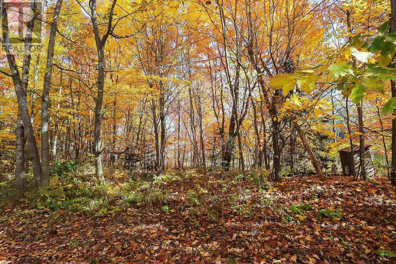 Lot 19 Nokomis Beach Rd, Sault Ste. Marie, Ontario  P6A 5K6 - Photo 10 - SM250059
