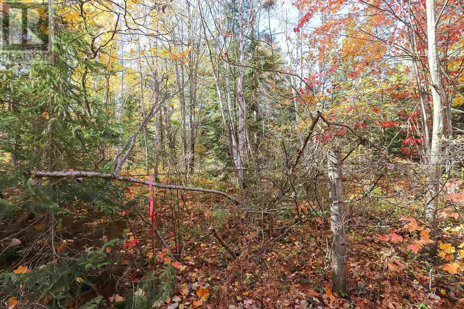 Lot 19 Nokomis Beach Rd, Sault Ste. Marie, Ontario  P6A 5K6 - Photo 4 - SM250059