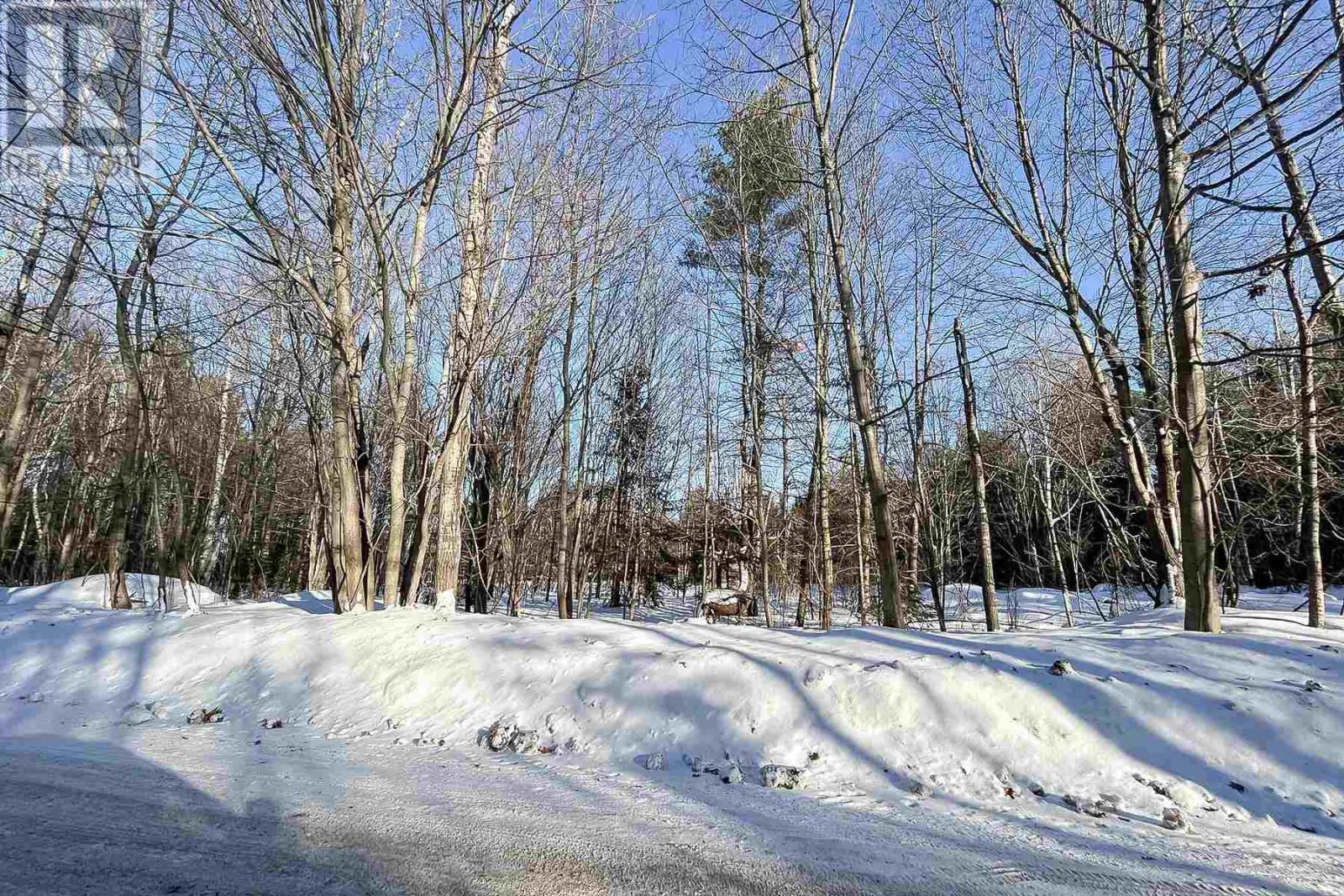 Lot 14&15 Nokomis Beach Rd, Sault Ste. Marie, Ontario  P6A 5K6 - Photo 9 - SM250061