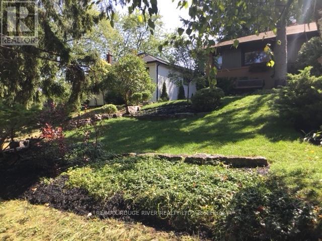 235 Island Road, Toronto, Ontario  M1C 2R1 - Photo 29 - E12015349