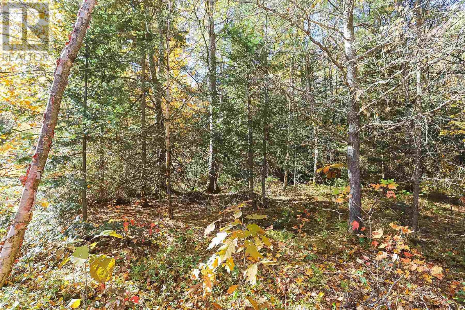 Lot 17 Nokomis Beach Rd, Sault Ste. Marie, Ontario  P6A 5K6 - Photo 1 - SM250055