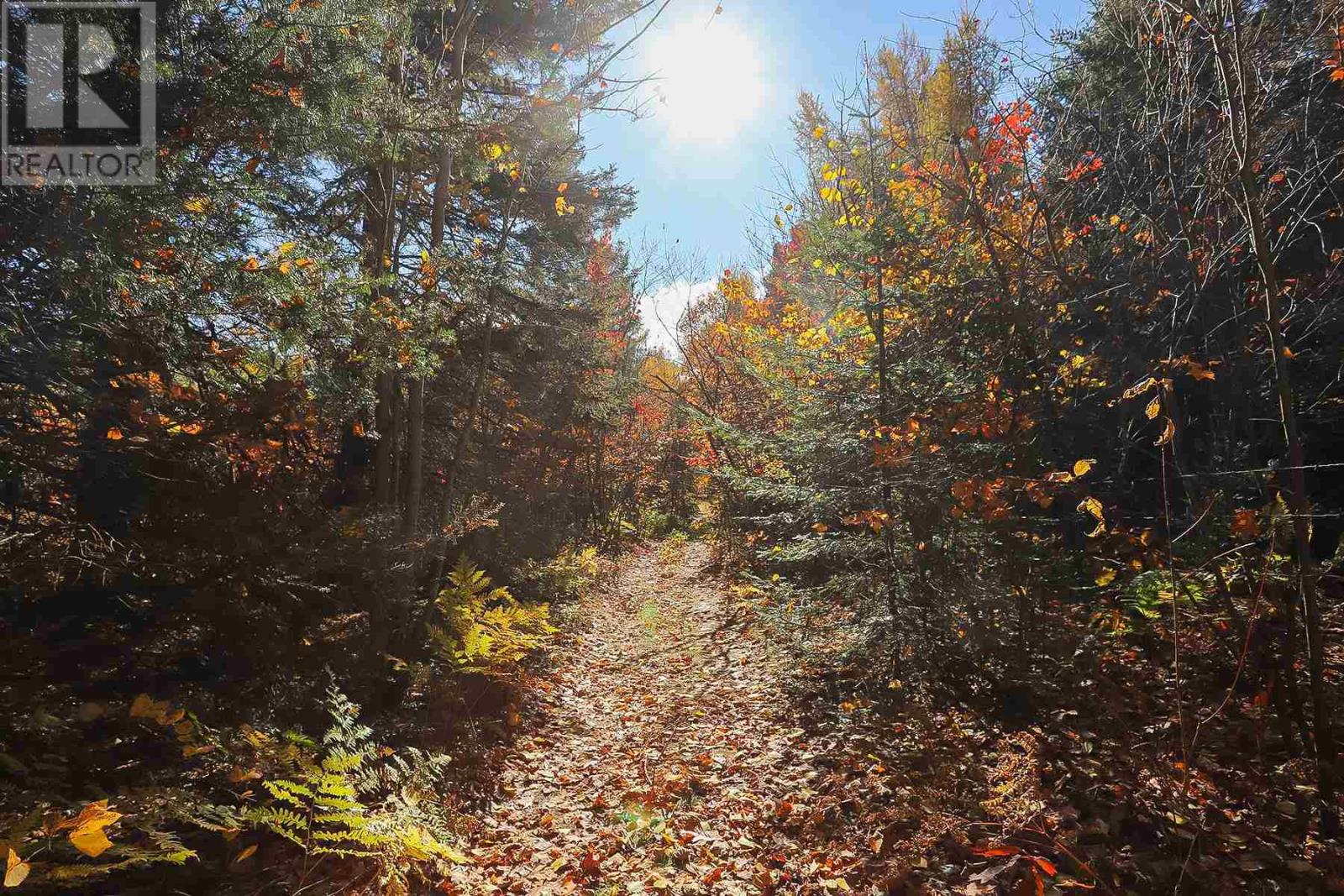 Lot 17 Nokomis Beach Rd, Sault Ste. Marie, Ontario  P6A 5K6 - Photo 12 - SM250055