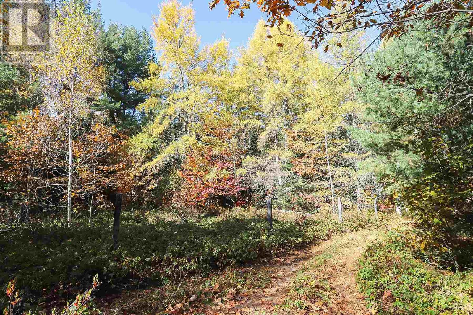 Lot 16 Nokomis Beach Rd, Sault Ste. Marie, Ontario  P6A 5K6 - Photo 10 - SM250057