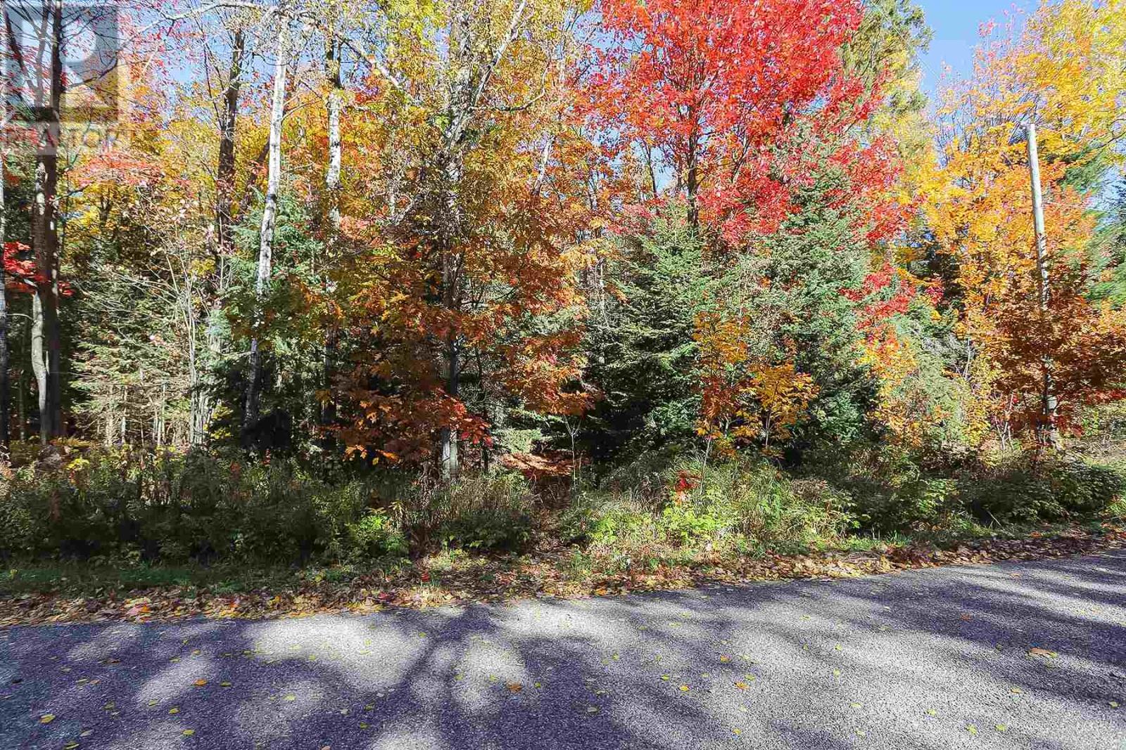 Lot 16 Nokomis Beach Rd, Sault Ste. Marie, Ontario  P6A 5K6 - Photo 4 - SM250057