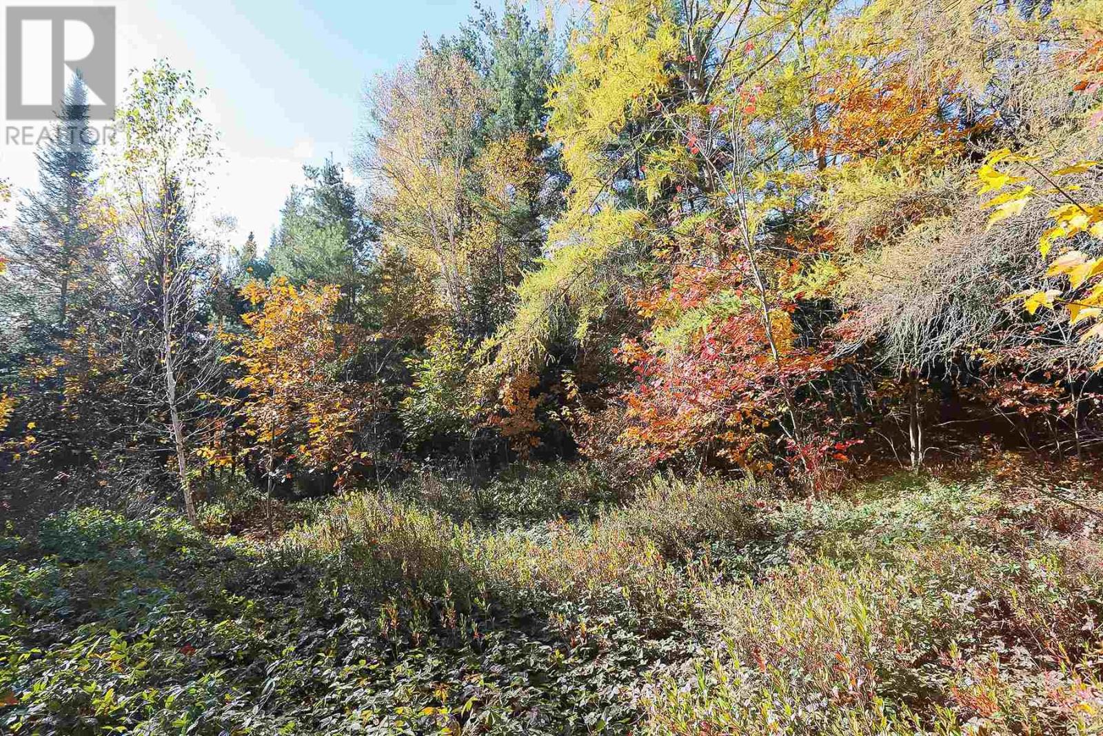 Lot 16 Nokomis Beach Rd, Sault Ste. Marie, Ontario  P6A 5K6 - Photo 8 - SM250057
