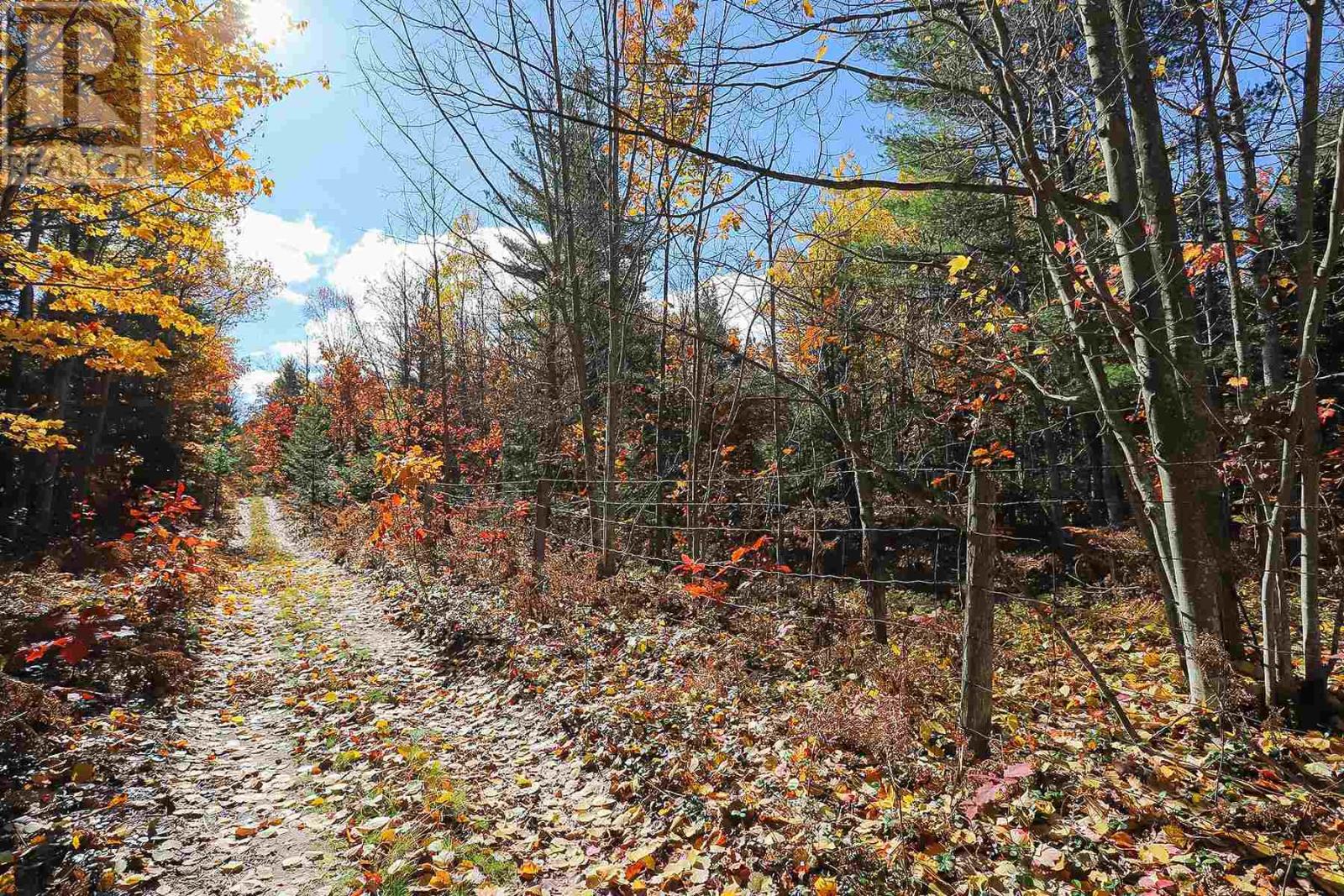 Lot 18 Nokomis Beach Rd, Sault Ste. Marie, Ontario  P6A 5K6 - Photo 5 - SM250058