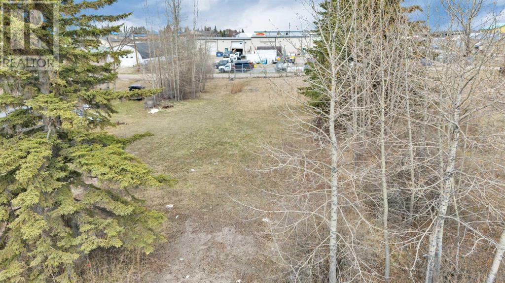 4416 45a Avenue, Rocky Mountain House, Alberta  T4T 1B2 - Photo 6 - A2187689