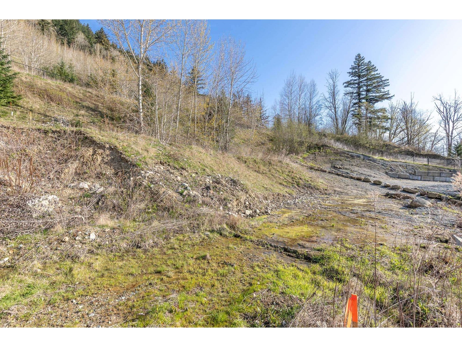 36483 Estevan Court, Abbotsford, British Columbia  V3G 0B6 - Photo 23 - R2986051