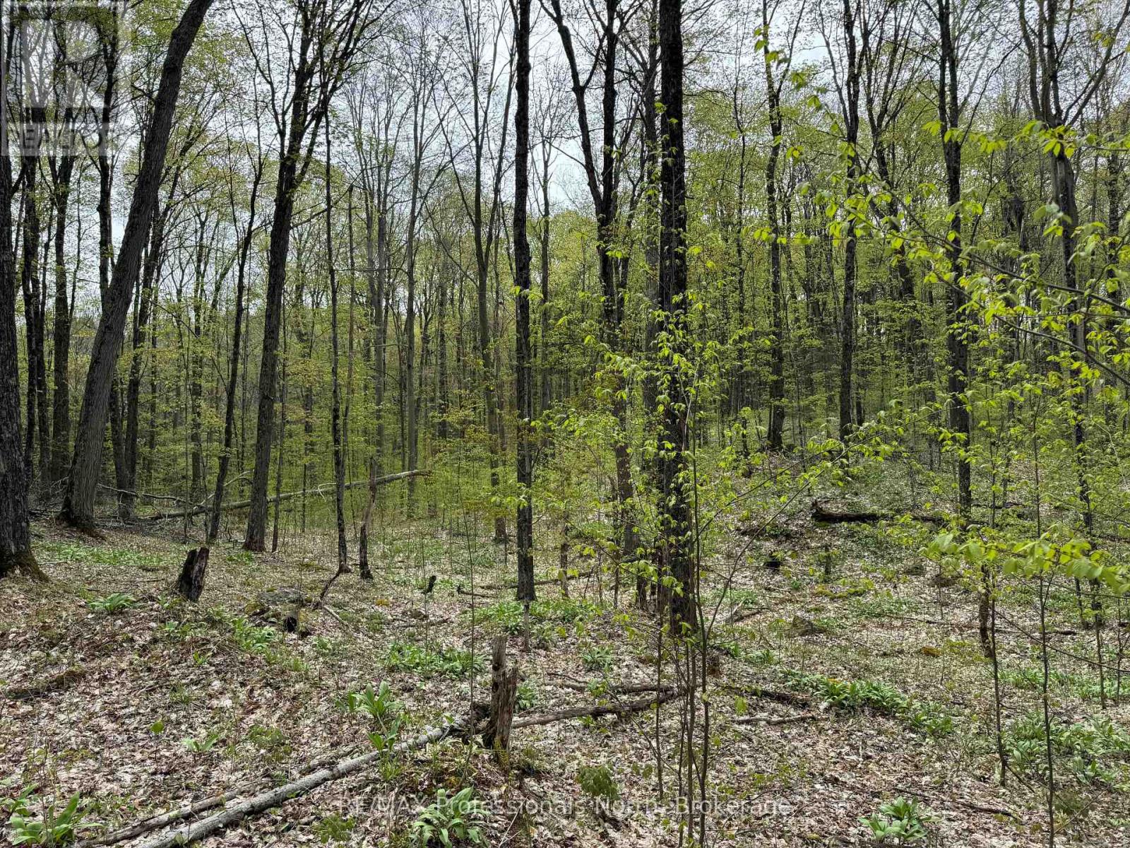 Lot 165 Glen Lake Court, Dysart Et Al, Ontario  K0M 1M0 - Photo 10 - X12084273