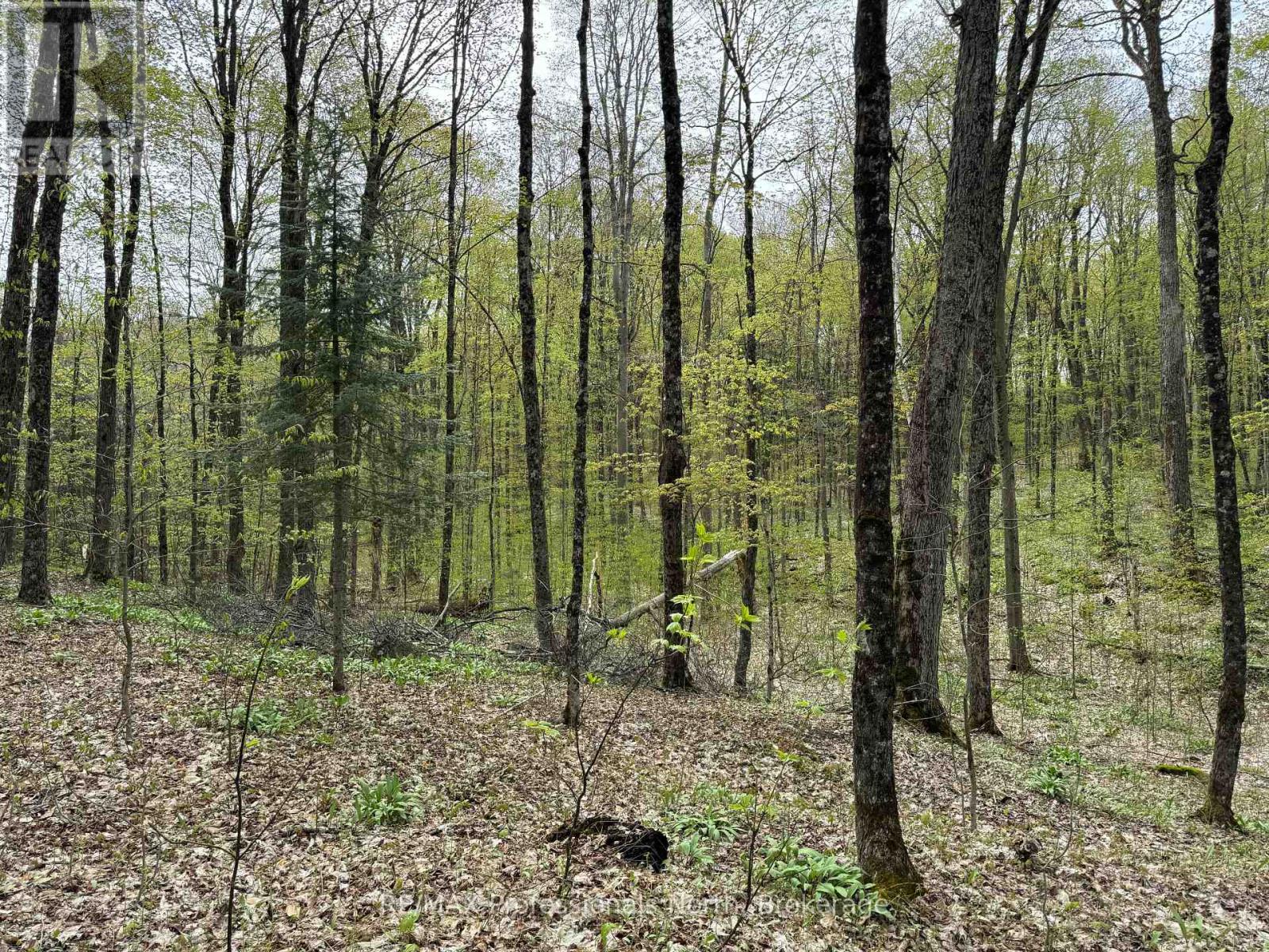 Lot 165 Glen Lake Court, Dysart Et Al, Ontario  K0M 1M0 - Photo 11 - X12084273
