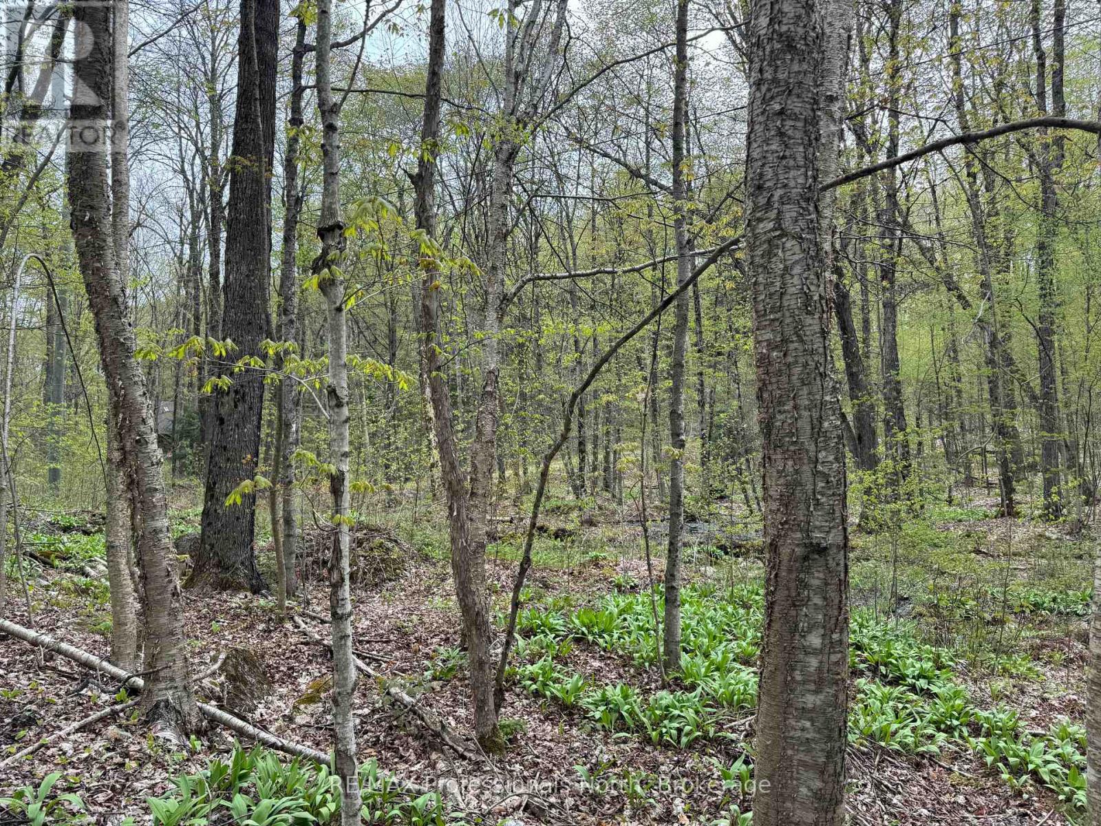 Lot 165 Glen Lake Court, Dysart Et Al, Ontario  K0M 1M0 - Photo 5 - X12084273