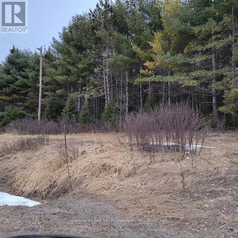 7 Burrits Road, Papineau-Cameron, Ontario  P0H 1V0 - Photo 4 - X12084152