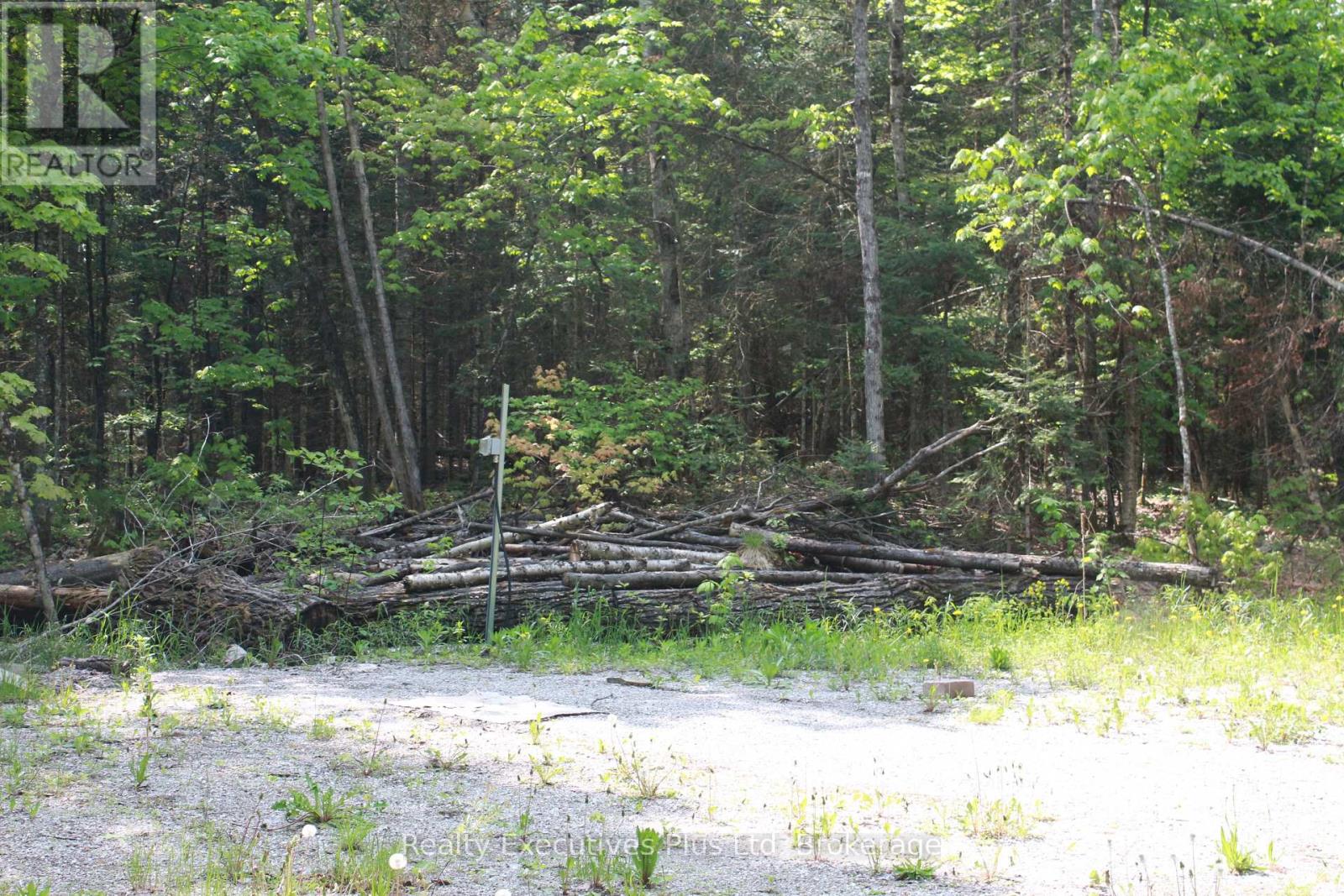 66 Lake Haven Drive, Kearney, Ontario  P0A 1M0 - Photo 5 - X12084285