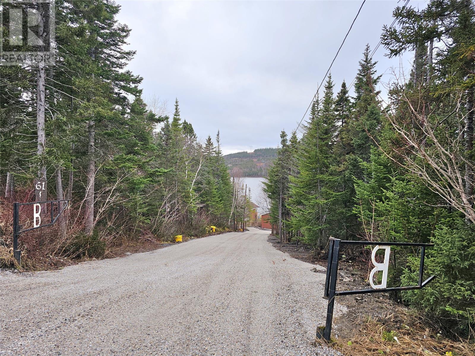 61 Main Road, Pinchgut Lake, Newfoundland & Labrador  A2H 6E3 - Photo 26 - 1283372
