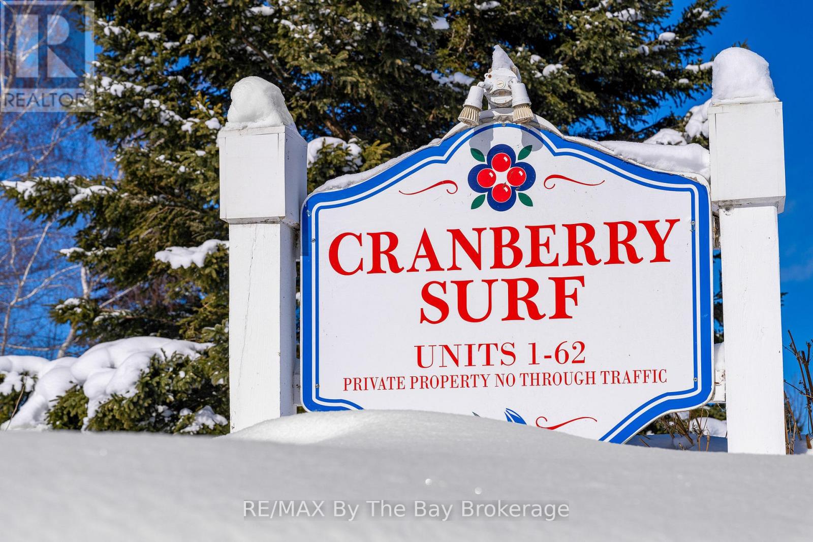 40 Cranberry Surf, Collingwood, Ontario  L9Y 5C4 - Photo 39 - S11994659