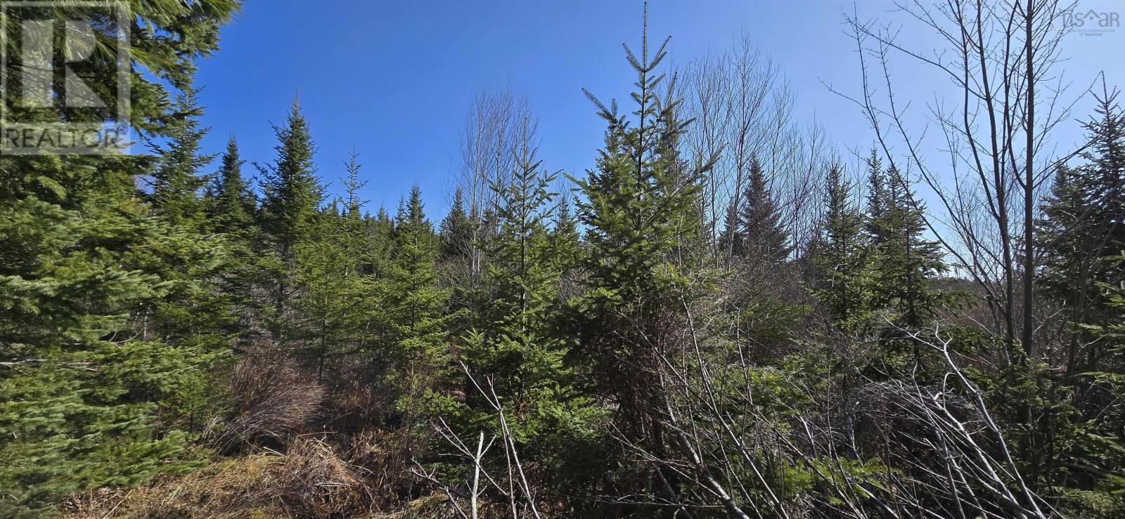 Lot 2021-2 Lacey Mines Road, Chester Basin, Nova Scotia  B0J 1K0 - Photo 21 - 202507929