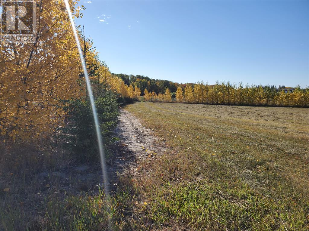 picture 0